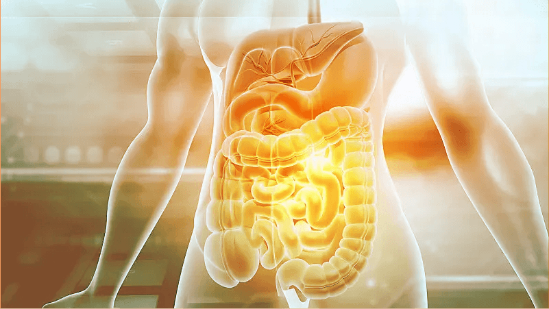 排毒将军 排毒将军